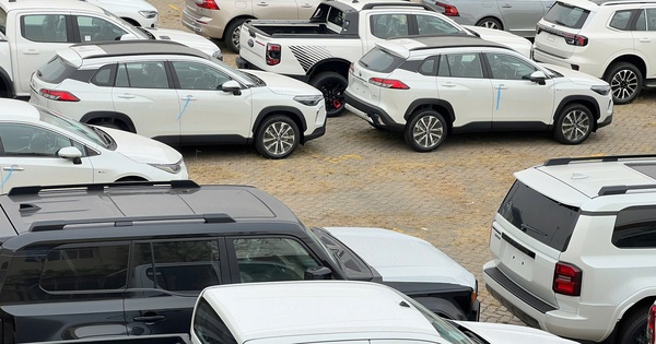 Cận cảnh lô xe gần 2.100 chiếc vừa cập cảng TPHCM